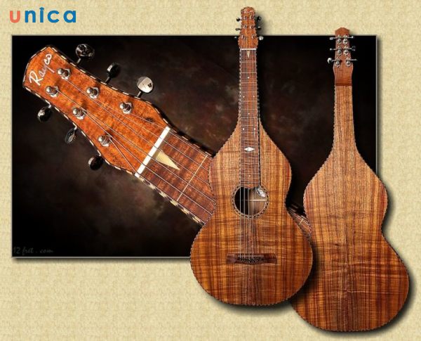 Guitar-Hawaii.jpg