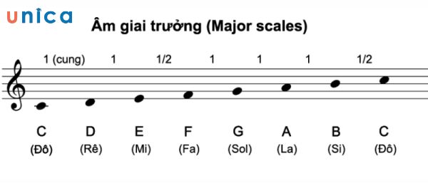 Cấu tạo của âm giai trưởng