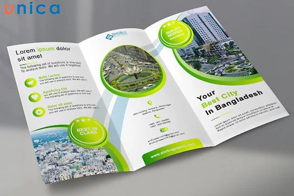 Brochure-theo-xu-huong-Vibrant Color.jpg