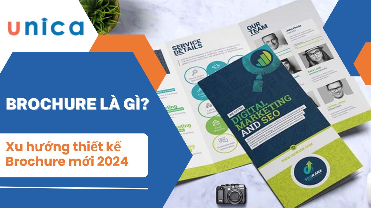 Brochure là gì? Xu hướng thiết kế Brochure mới nhất hiện nay