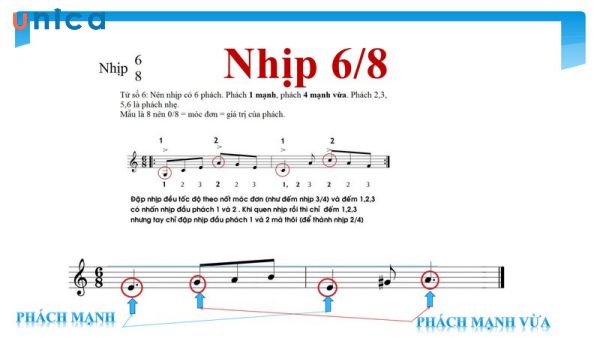 nhip-6-8-la-gi.jpg