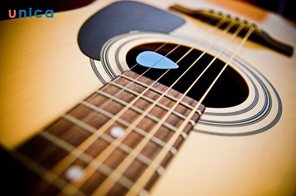 Đàn guitar thường có tất cả bao nhiêu dây?