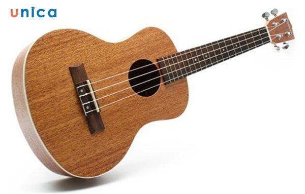 Loại đàn guitar 4 dây thường được gọi là Ukulele