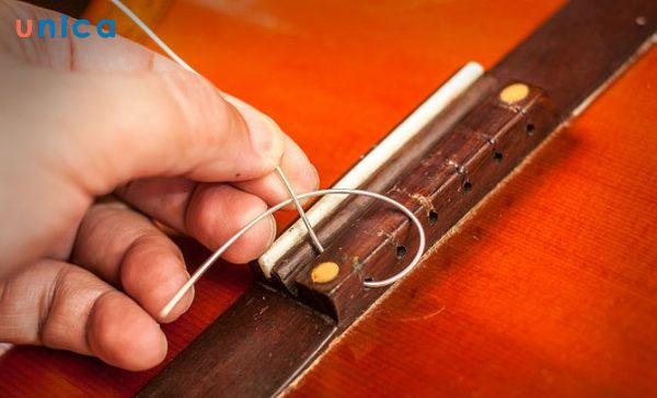 chú ý chất liệu và độ dày của dây