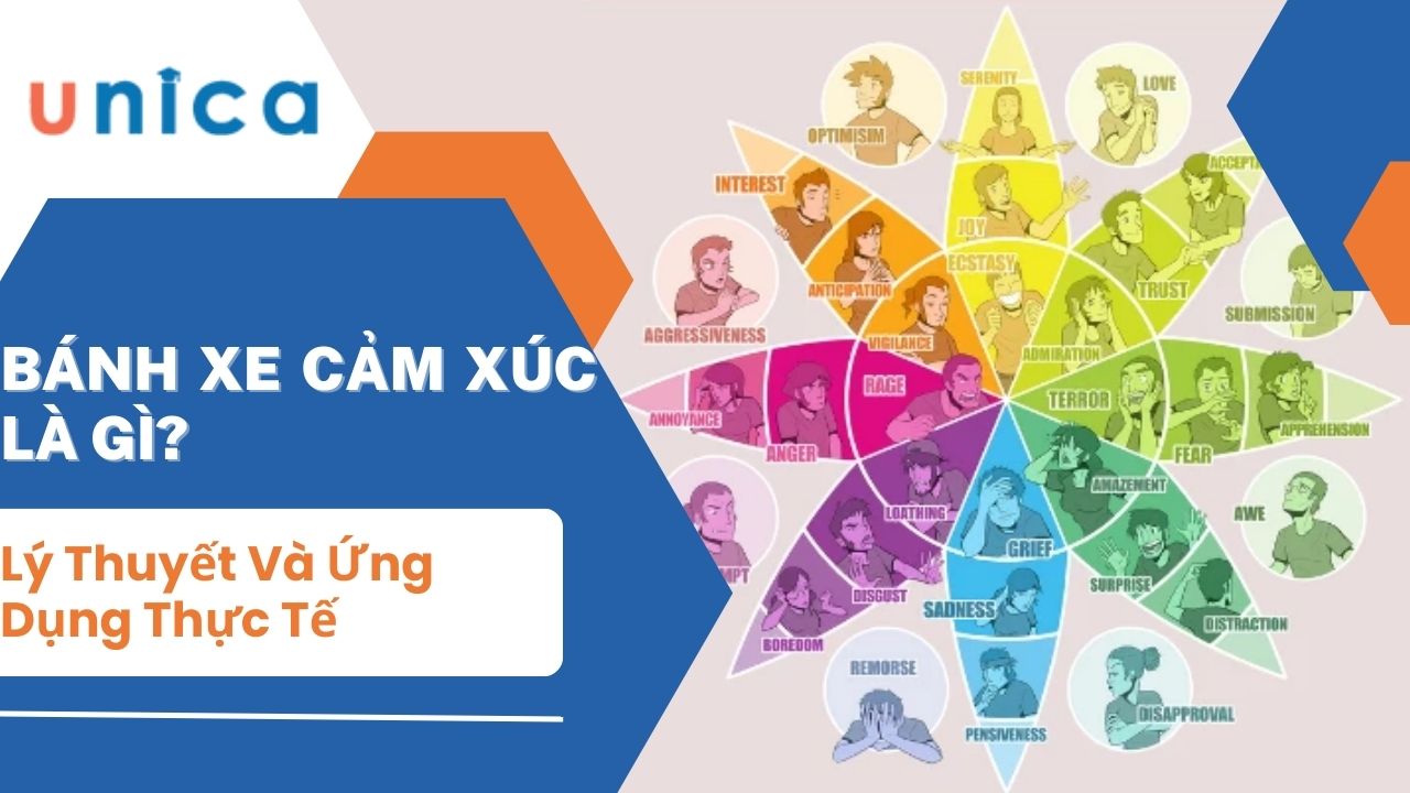 Bánh Xe Cảm Xúc Là Gì? Lý Thuyết Và Ứng Dụng Thực Tế