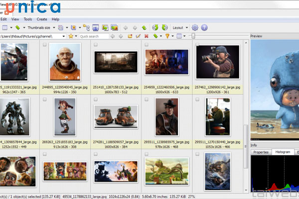XnView hỗ trợ nhiều hệ điều hành phổ biến