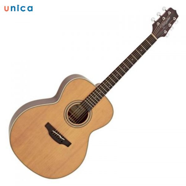 Đàn Guitar Acoustic TAKAMINE P4DC