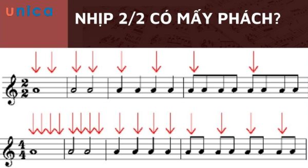 Nhịp 2/2 có mấy phách