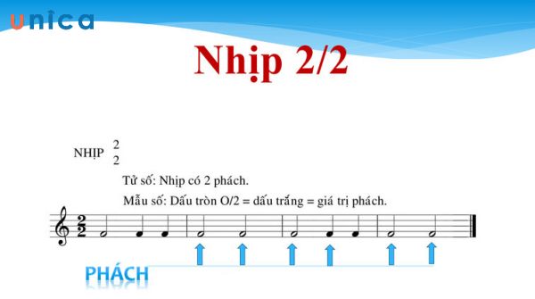 Nhịp 2/2 là gì