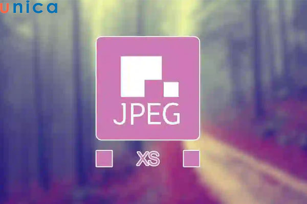 JPEG được ứng dụng rộng rãi trong nhiều lĩnh vực