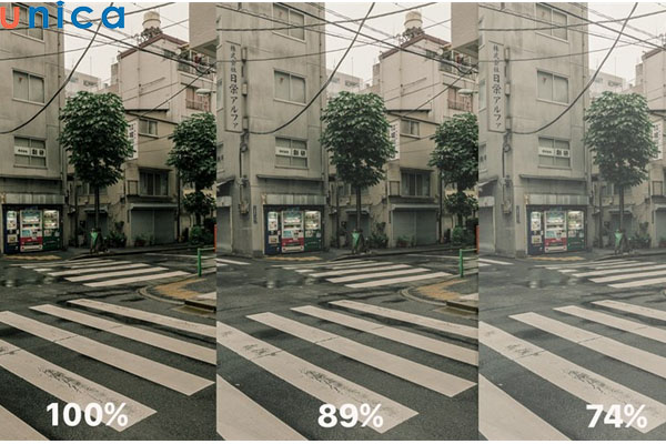 Ví dụ minh hoạ bức ảnh đã điều chỉnh Opacity