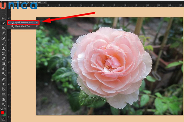 Chọn công cụ Quick Selection Tool để chọn vùng màu muốn đổi