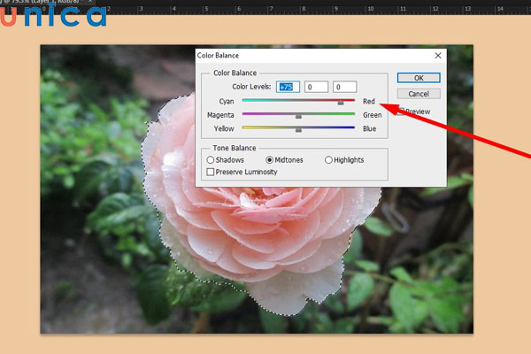 Tăng giá trị Red để màu sắc hoa hồng đậm hơn