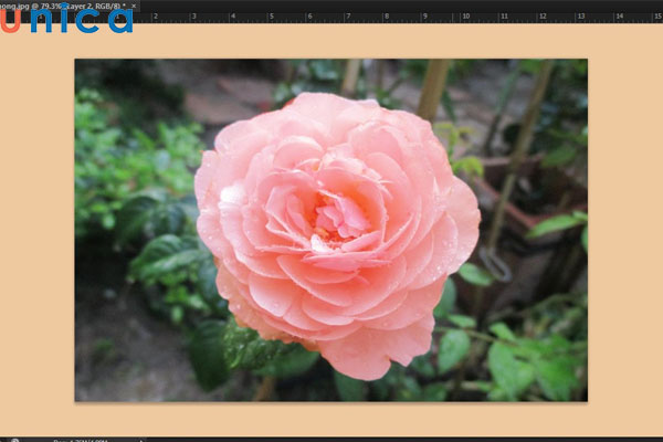 Kết quả đổi màu bằng công cụ Color Balance trong Photoshop