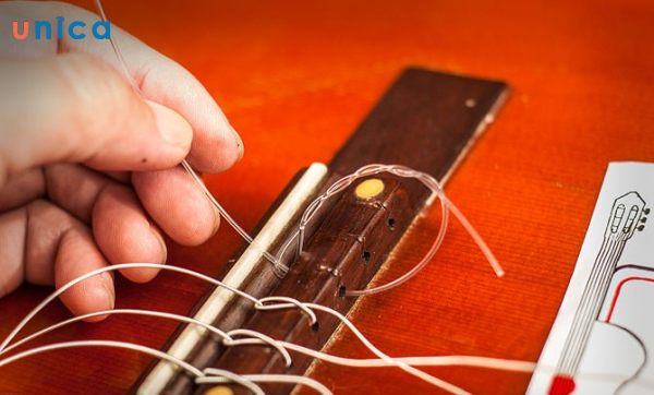 Mở hộp dây mới và thay chúng vào đàn