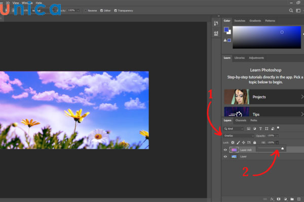 Điều chỉnh màu theo mong muốn