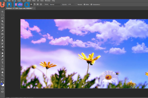 Kết quả hiển thị hình ảnh