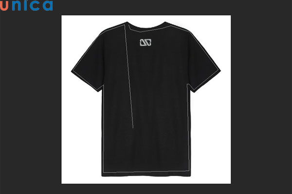 Khoanh vùng đối tượng bằng công cụ Polygonal Lasso Tool