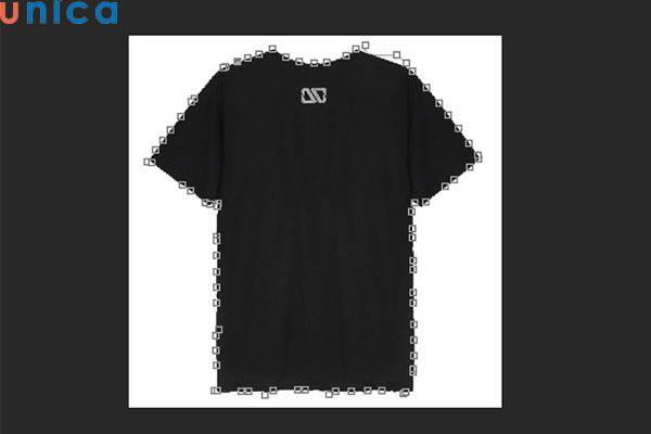 Khoanh vùng đối tượng bằng công cụ Magnetic Lasso Tool