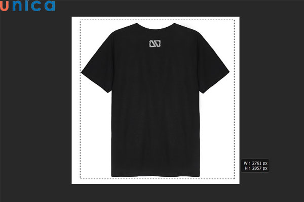 Khoanh vùng chọn bằng Object Selection Tool