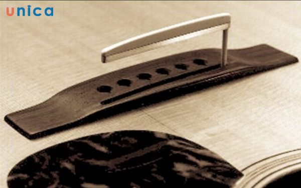 Undersaddle Pickup