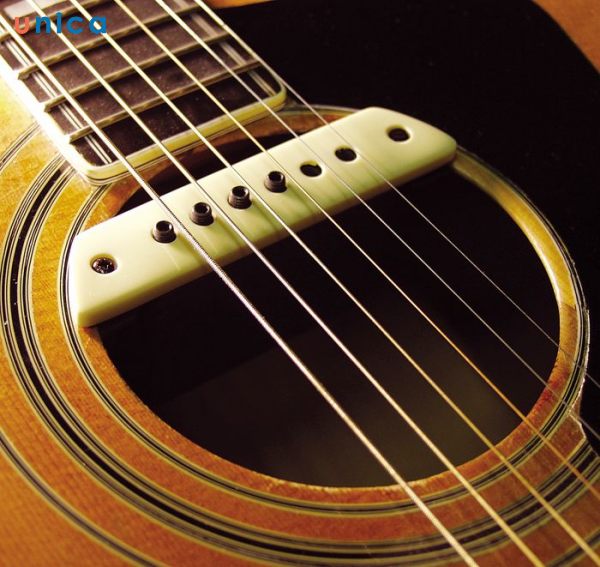 Pickup Soundhole
