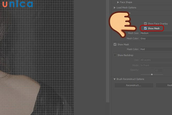 Chọn Show Mesh để quan sát rõ hơn
