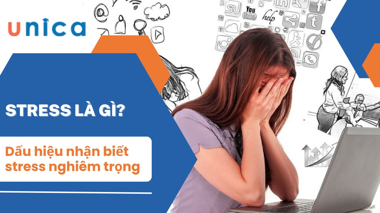 Stress là gì? Các dấu hiệu bạn bị stress nghiêm trọng