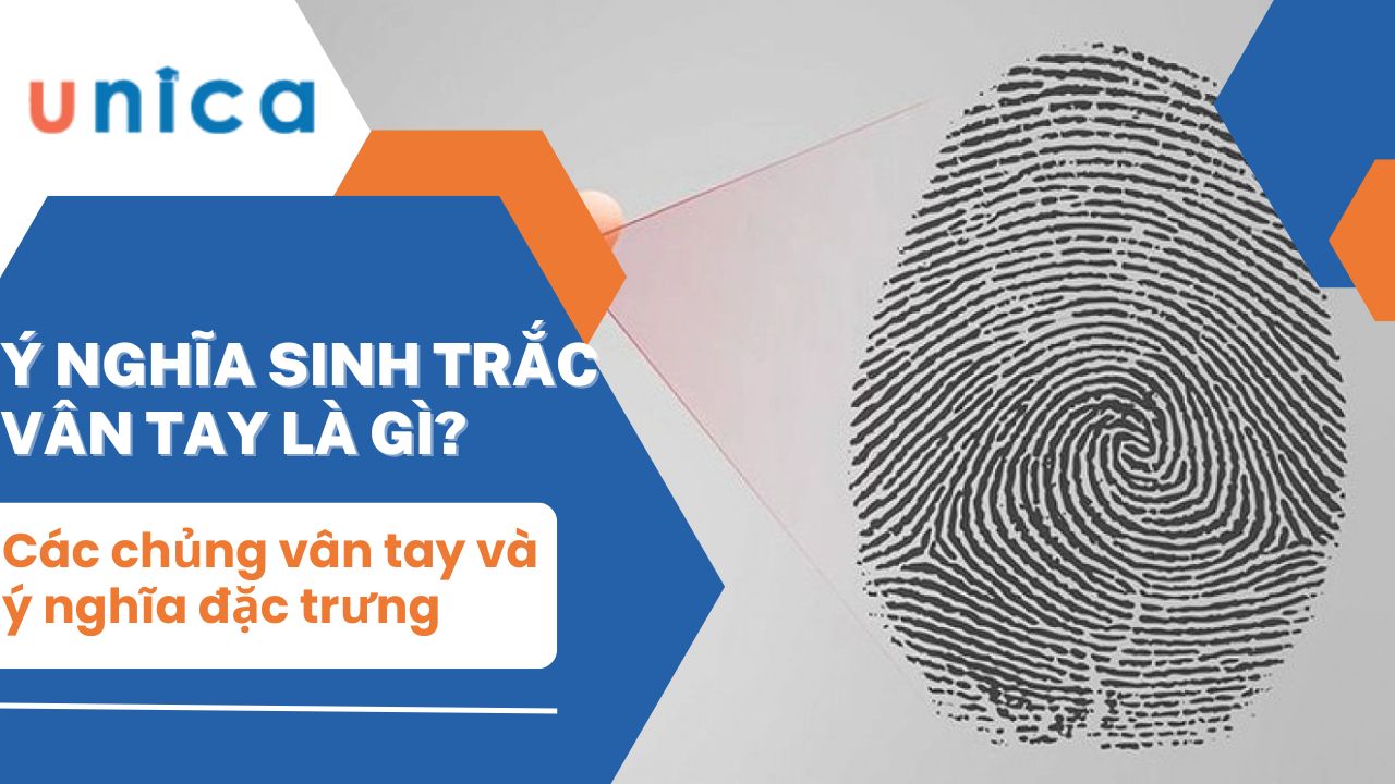 Các chủng vân tay chính và ý nghĩa đặc trưng của chúng