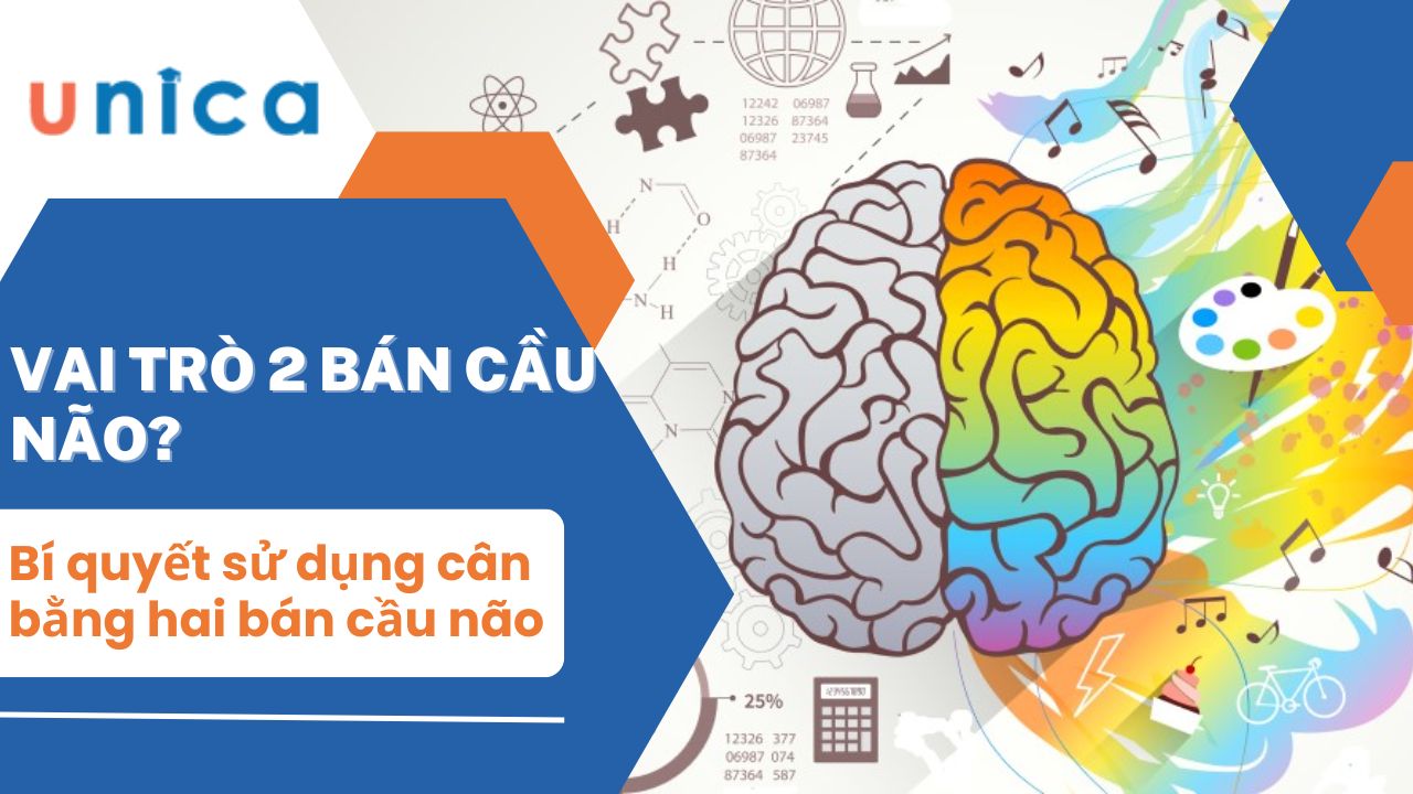 Vai trò của hai bán cầu não và cách cân bằng hai bán cầu não