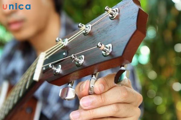 Ổn định độ căng của dây đàn trước khi chơi