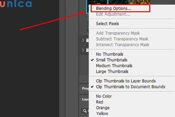 Chọn Blending Options