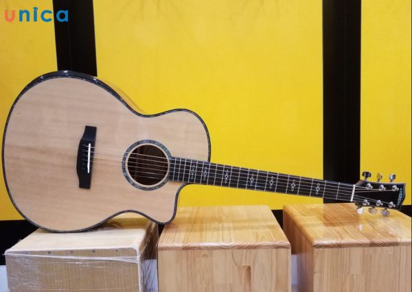 Guitar Everest là một thương hiệu guitar hàng đầu tại Việt Nam