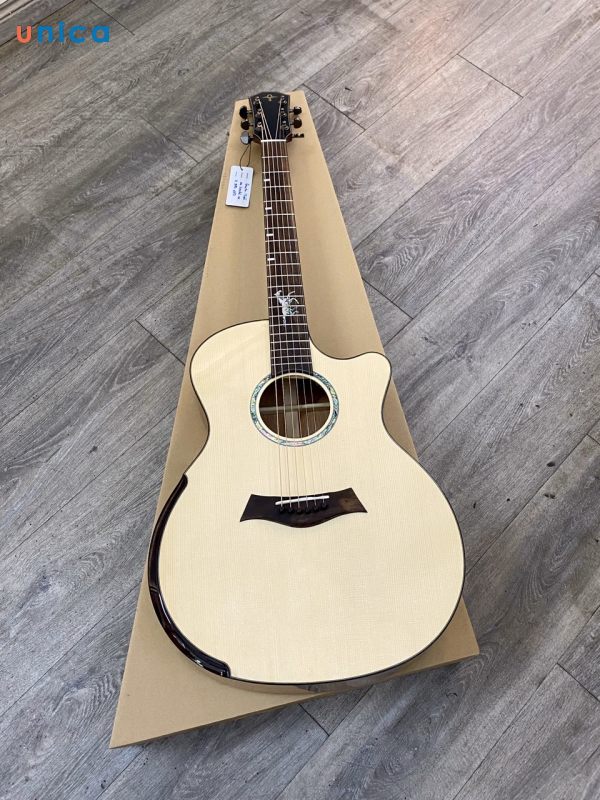 guitar-tran.jpg