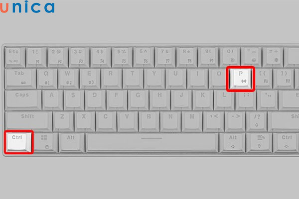 Nhấn tổ hợp phím Ctrl + P để chuyển file CAD sang file PDF bằng in ấn Plot