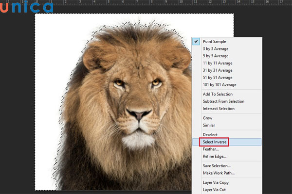 Thao tác đảo ngược vùng chọn trong Photoshop