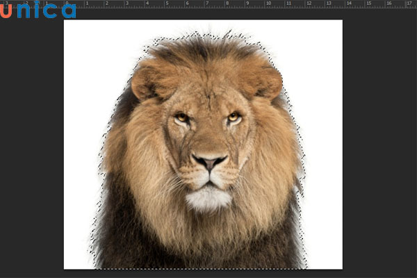 Kết quả đảo ngược vùng chọn