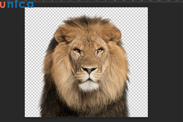 Xoá nền xung quanh