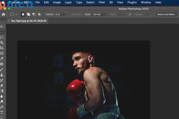 Chọn ảnh để thực hiện đảo ngược vùng chọn