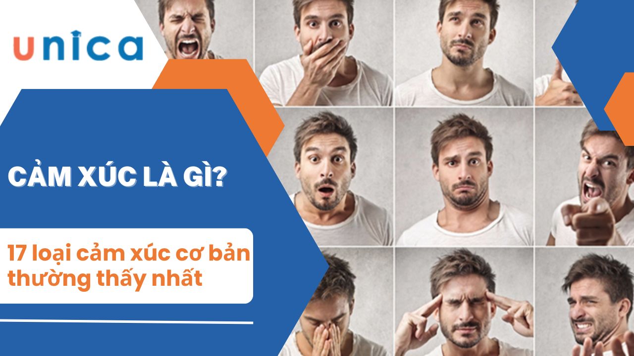 17 loại cảm xúc cơ bản và cách điều chỉnh cảm xúc hiệu quả