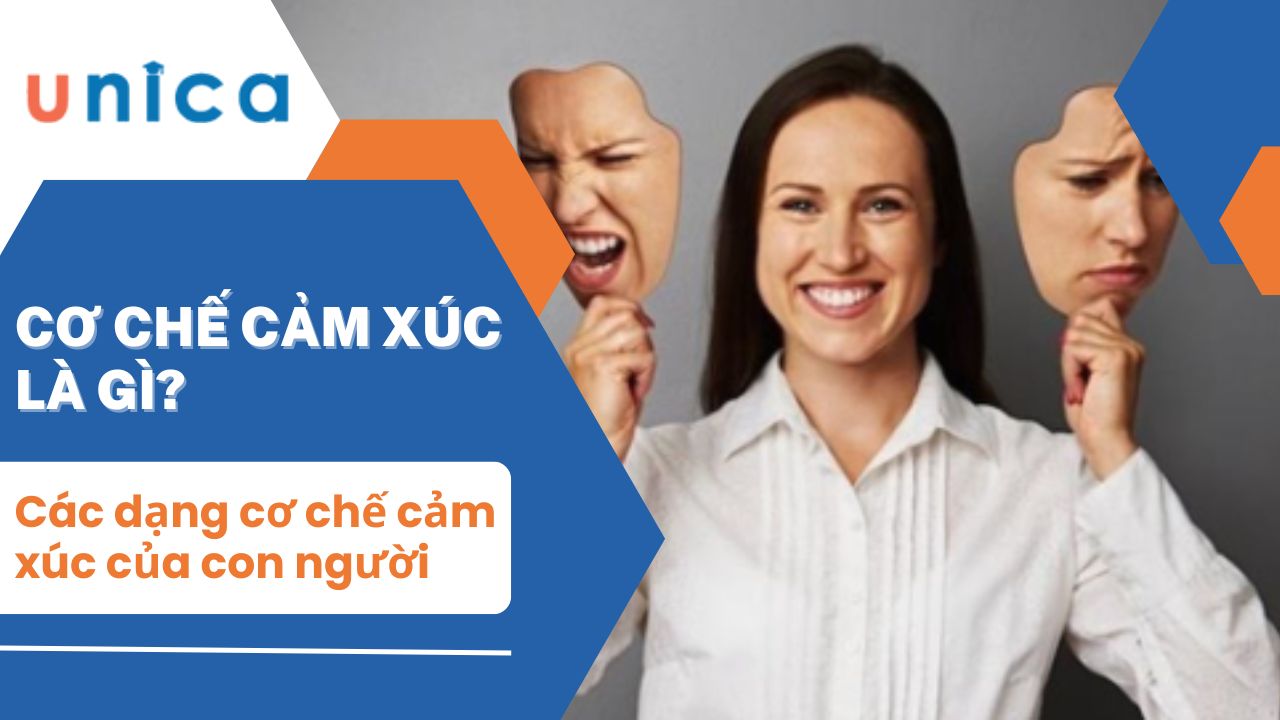 Cơ chế cảm xúc là gì? Các dạng cơ chế cảm xúc của con người