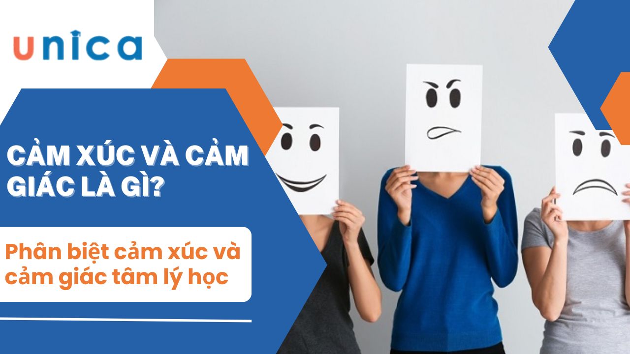 Phân biệt cảm xúc và cảm giác trong tâm lý học