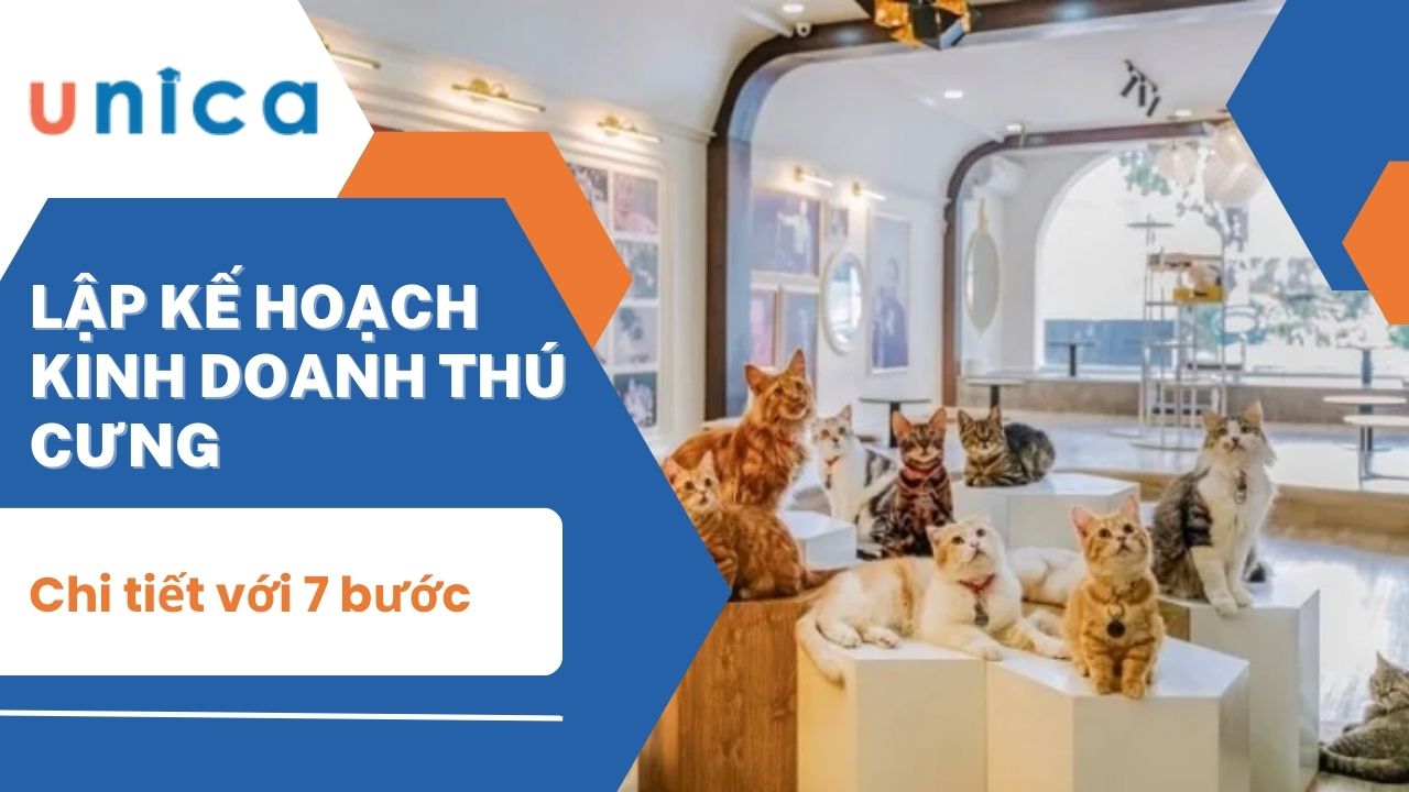 Lập kế hoạch kinh doanh thú cưng chi tiết với 7 bước