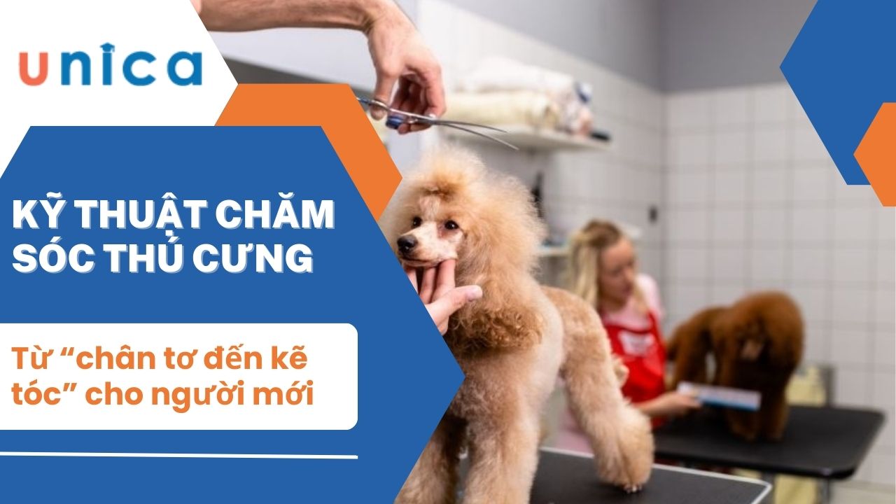 Kỹ thuật chăm sóc thú cưng từ “chân tơ đến kẽ tóc” cho người mới