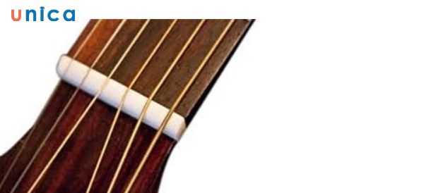 Nut là một phần ngăn cách giữa đầu đàn guitar acoustic và cần đàn