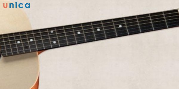 Cần đàn của guitar acoustic là một thanh gỗ dài và thuôn