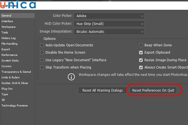 Chọn Reset Preferences On Quit