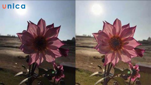 Hoàn toàn có thể chỉnh ảnh JPG ngược sáng