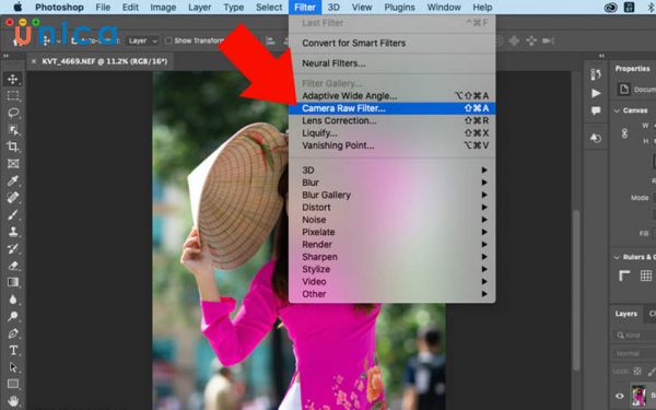 Chọn Camera Raw Filter