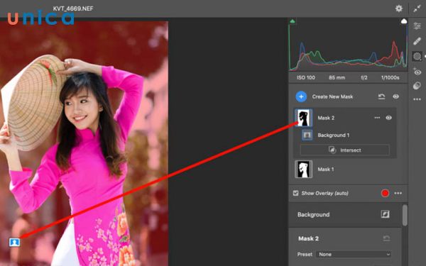 Tích vào Show Overlay